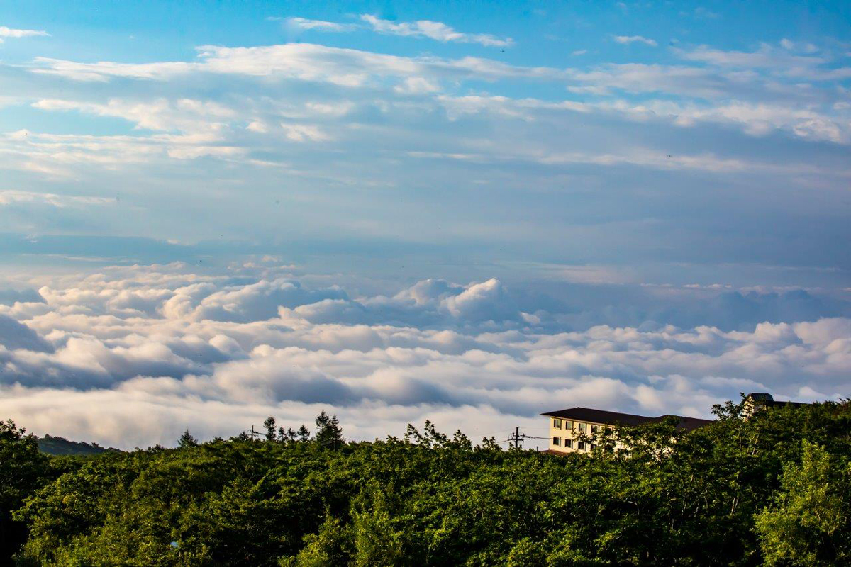 NASU Nature