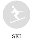 ski-icon