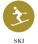 ski-icon