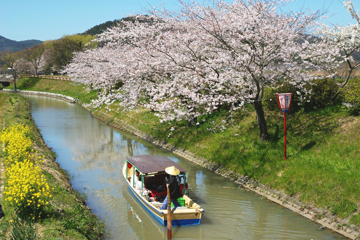 OHMI-HACHIMAN Nature