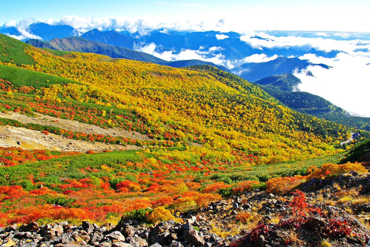 NORIKURA-KOGEN Nature