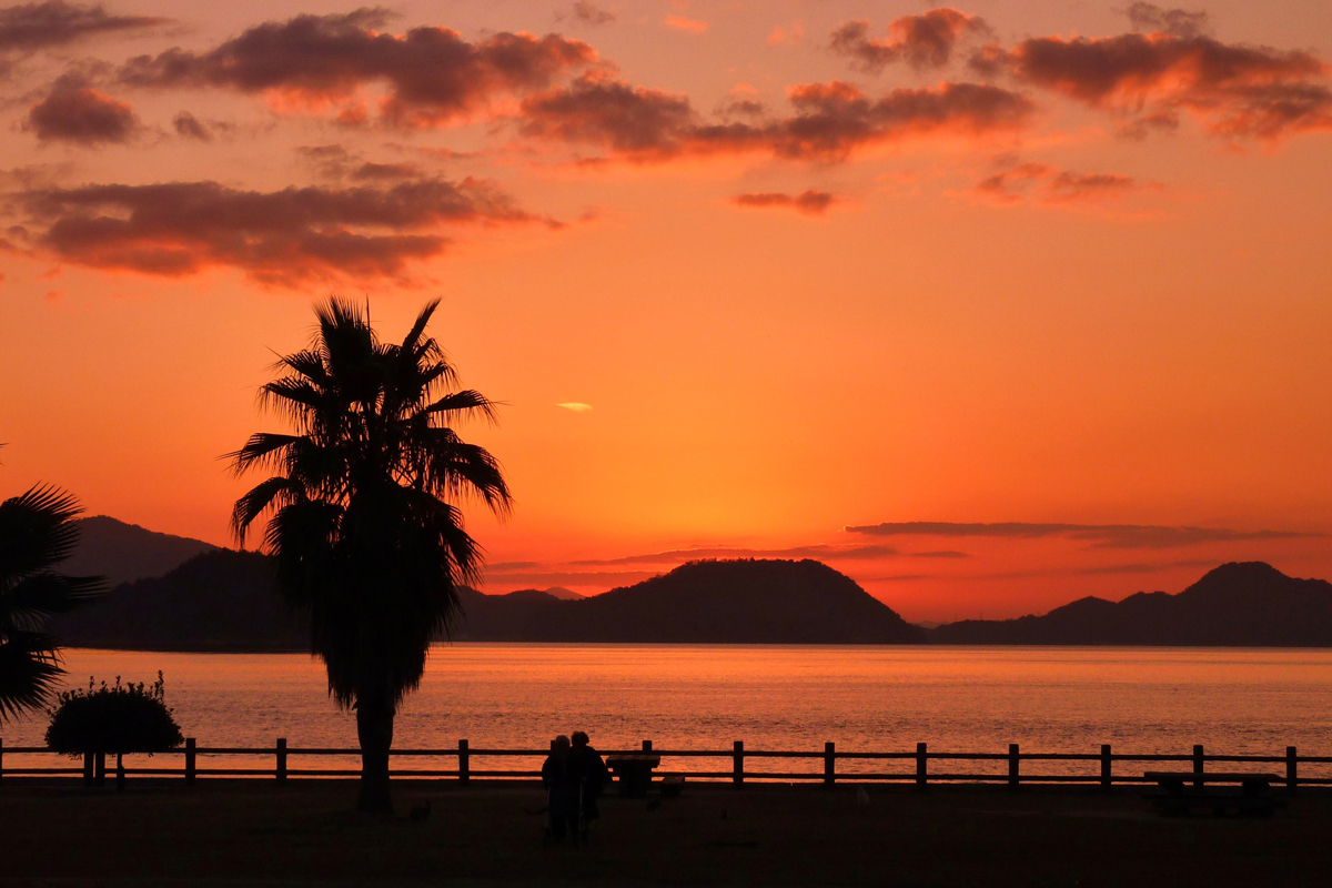 OHKUNOSHIMA Nature