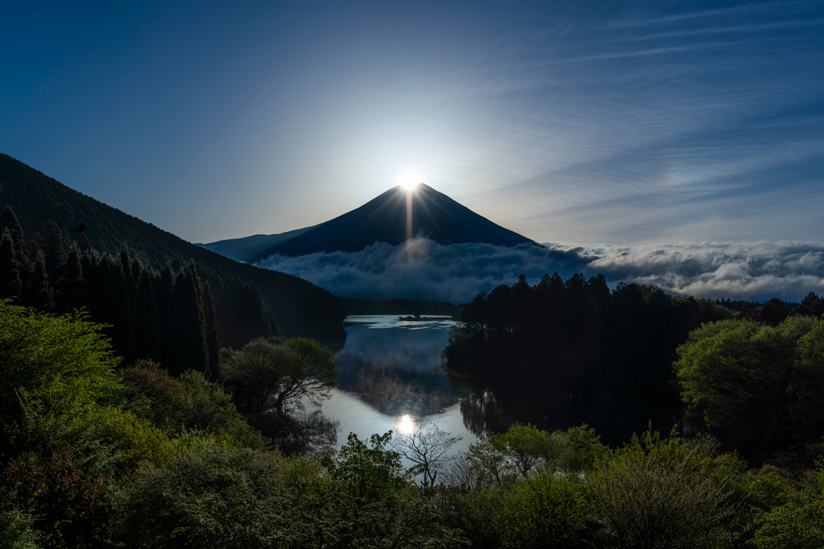 FUJI Nature